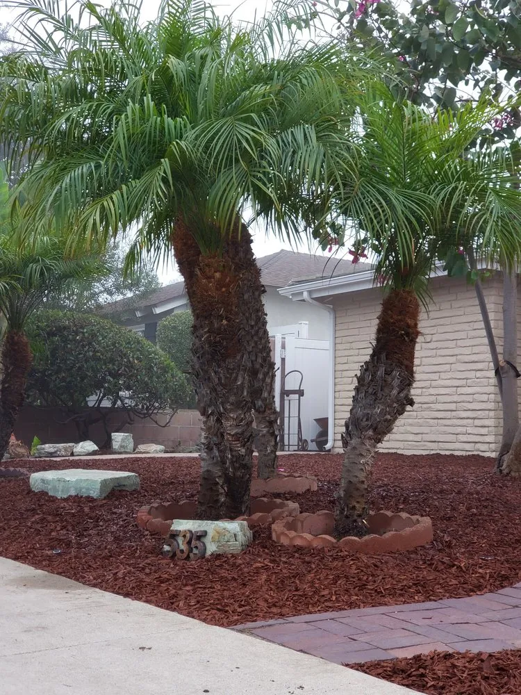 Professional garden landscaping for outdoor upgrades in Compton, CA by EC Irrigation Repair