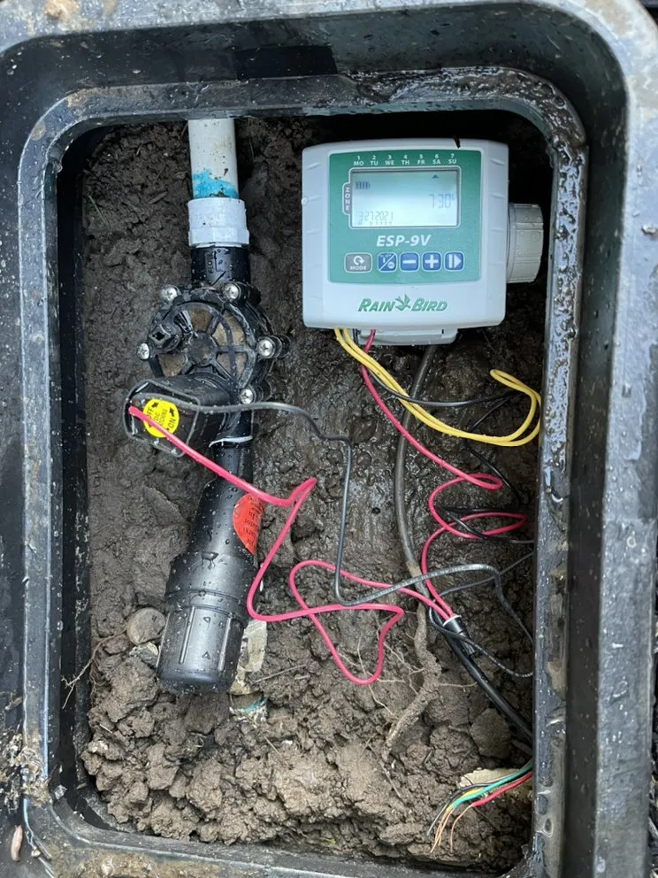 Reliable yard cleanup service for homes in Compton, CA by EC Irrigation Repair