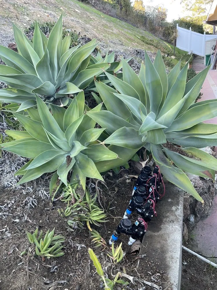 Custom lawn care service experts serving Compton, CA - EC Irrigation Repair