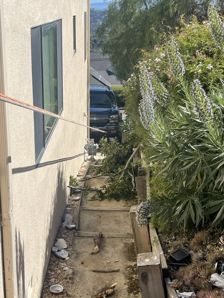 Professional lawn mowing service experts serving Carpinteria, CA - EC Landscape & Tree Service