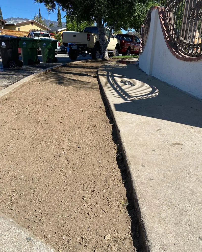 Professional landscaping services for year-round maintenance in San Fernando, CA by EC Landscape