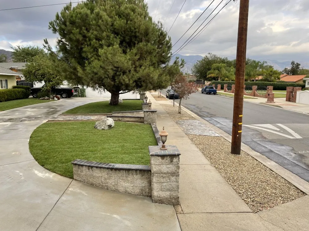 Affordable yard maintenance experts serving San Fernando, CA - EC Landscape