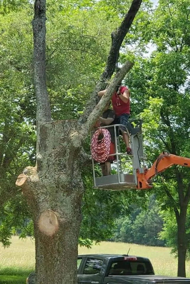 Trusted residential landscaping in Midland, NC by E.C. Landscaping and Home Services