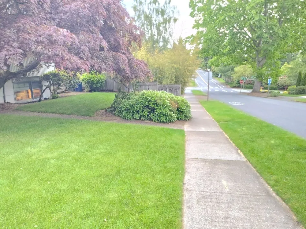 Local landscape design for homes across Everett, WA - E&C Landscaping