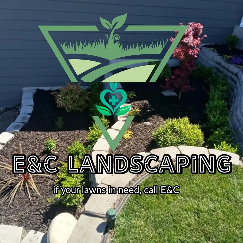 Trusted yard cleanup service experts serving Everett, WA - E&C Landscaping