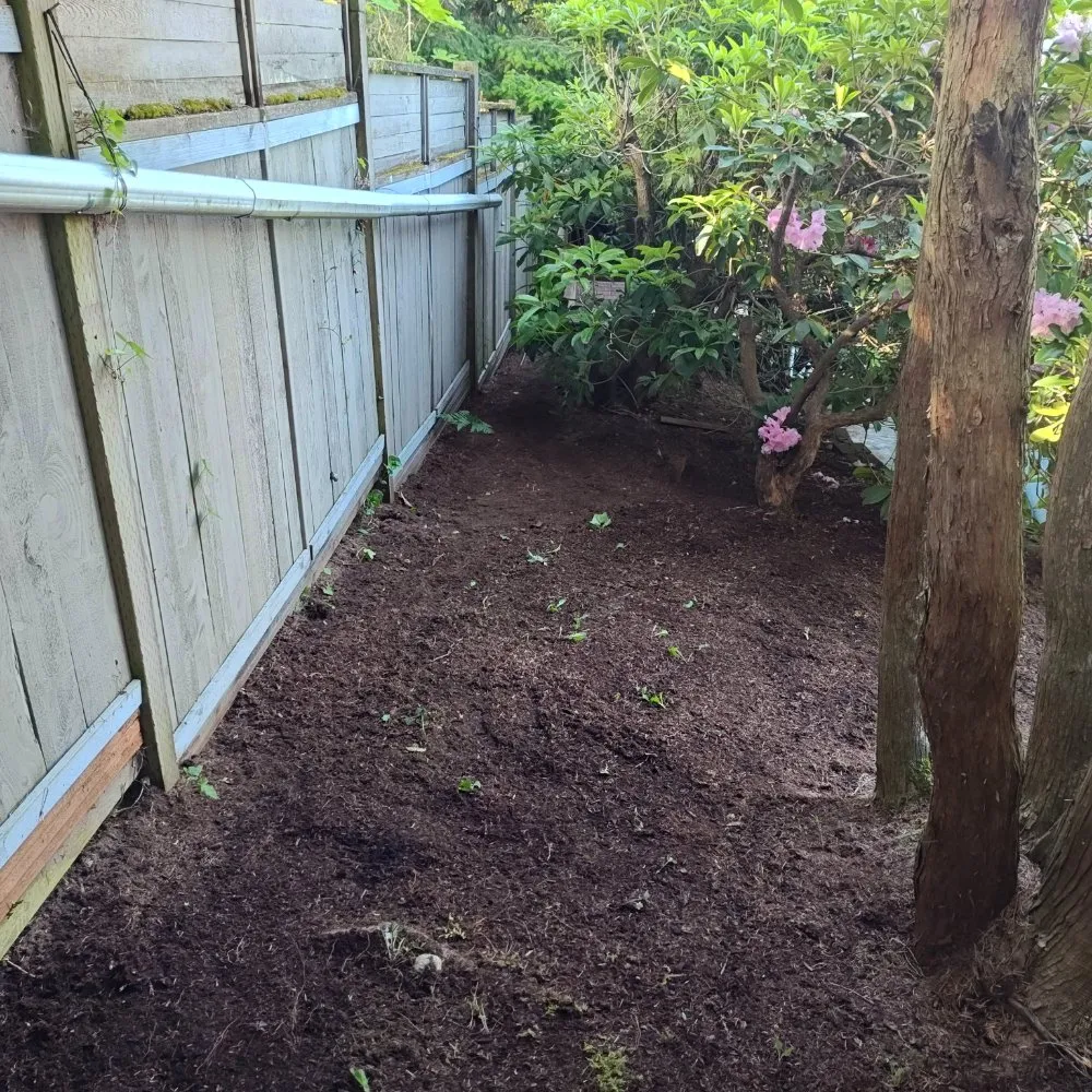Local garden landscaping for outdoor upgrades in Everett, WA by E&C Landscaping