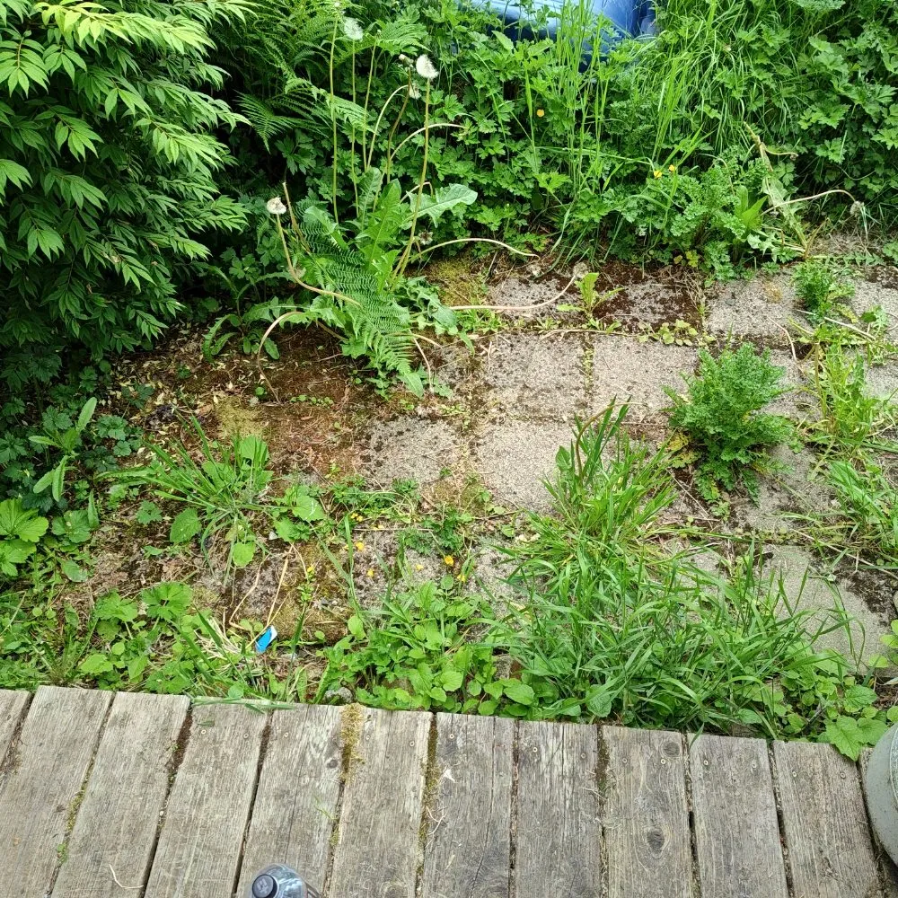 Professional lawn mowing service experts serving Everett, WA - E&C Landscaping