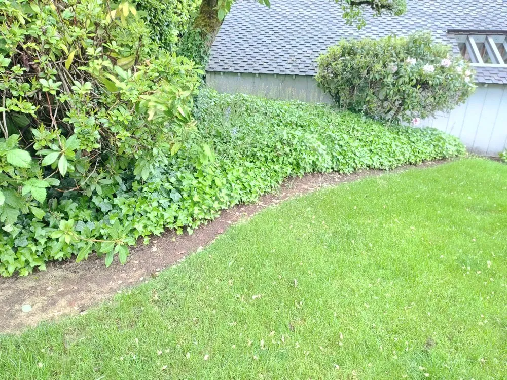 Reliable lawn care service in Everett, WA by E&C Landscaping