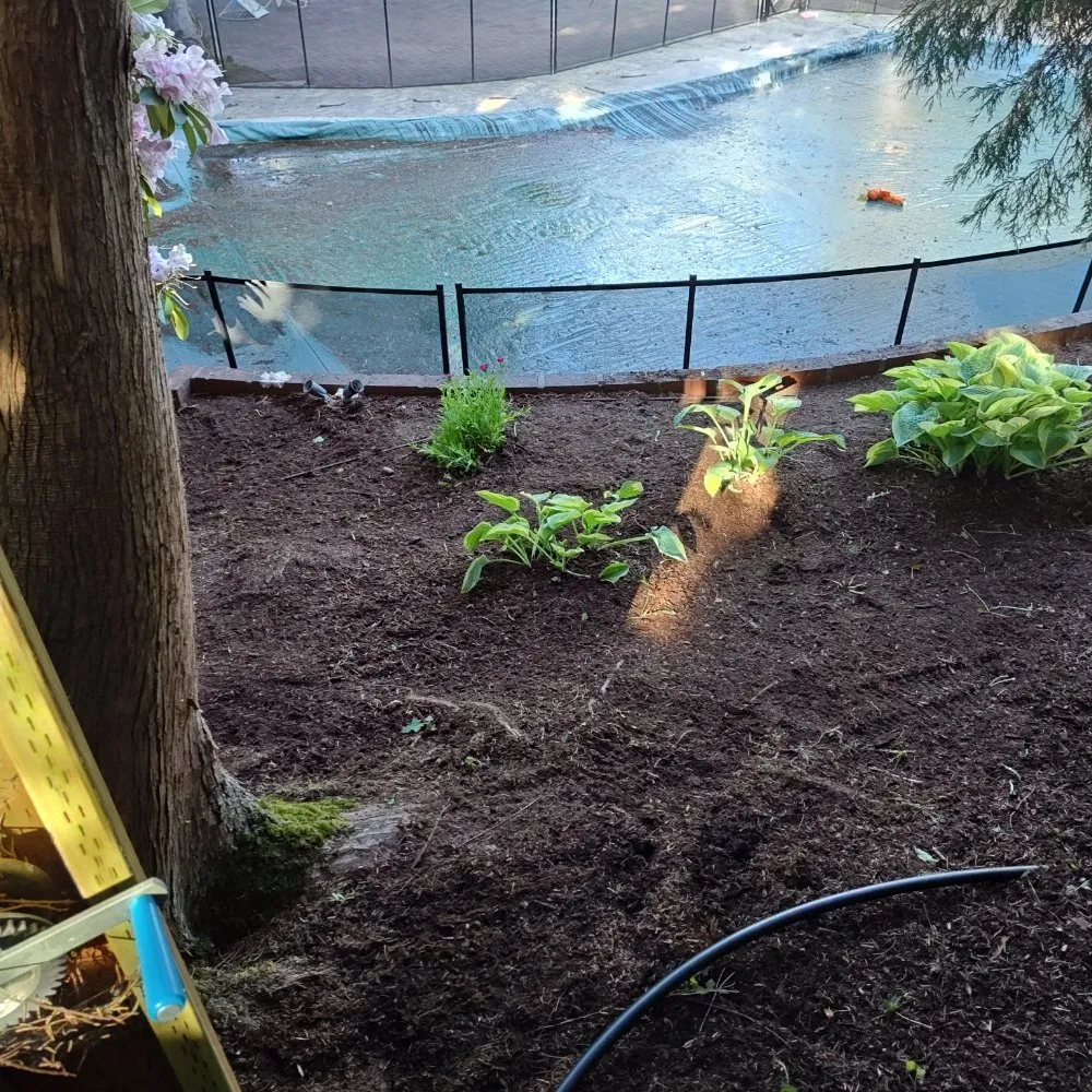 Local landscape design for residential properties across Everett, WA - E&C Landscaping