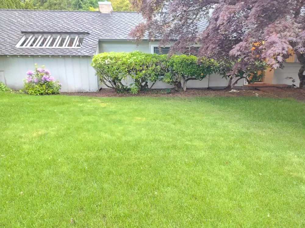 Trusted lawn care service in Everett, WA by E&C Landscaping