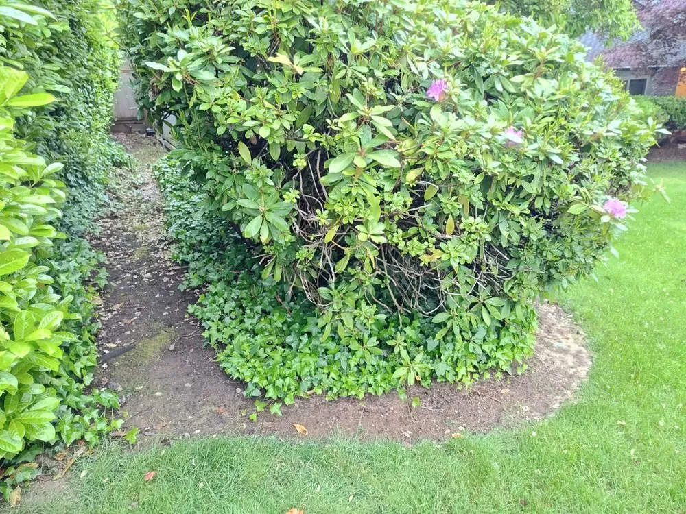 Affordable outdoor landscaping in Everett, WA - E&C Landscaping