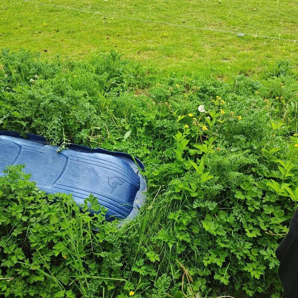 Local landscape design in Everett, WA by E&C Landscaping