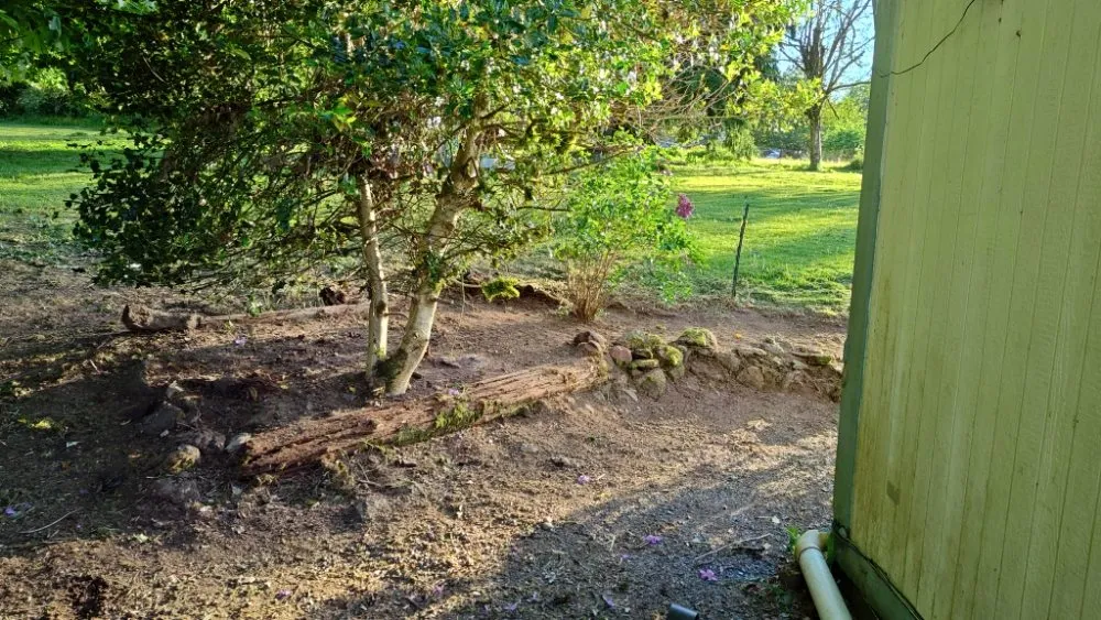 Reliable lawn care service for homes across Everett, WA - E&C Landscaping