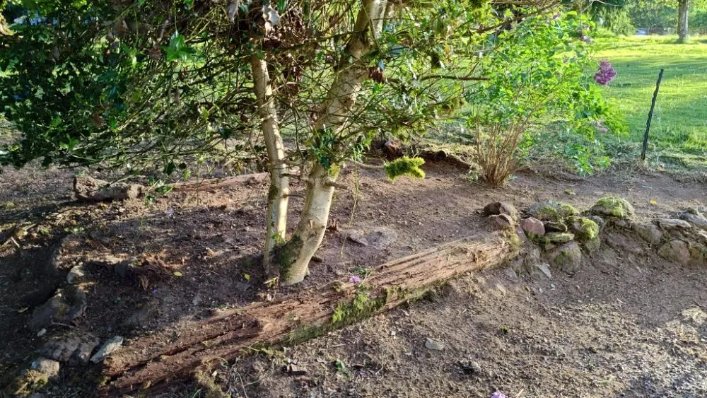 Local residential landscaping experts serving Everett, WA - E&C Landscaping