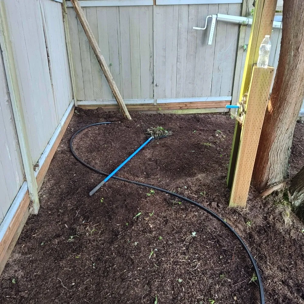 Affordable yard cleanup service in Everett, WA - E&C Landscaping