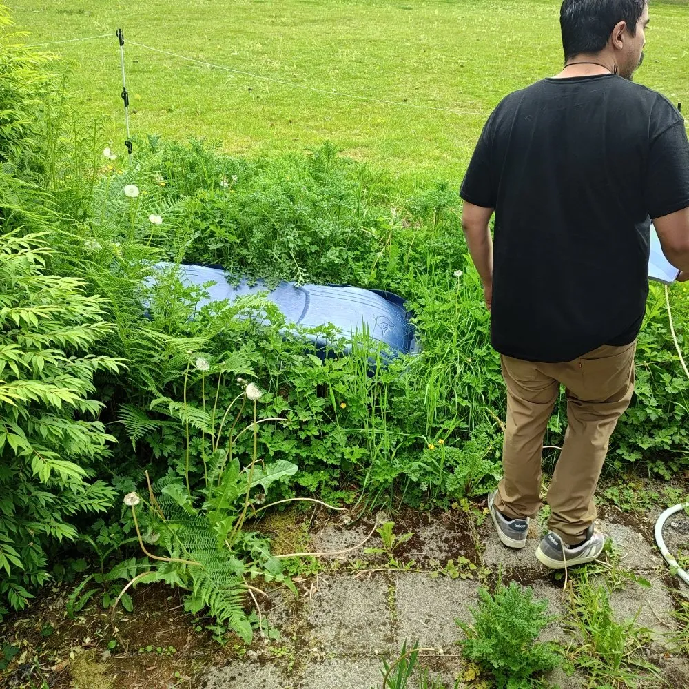 Trusted landscaping services for residential properties in Everett, WA by E&C Landscaping