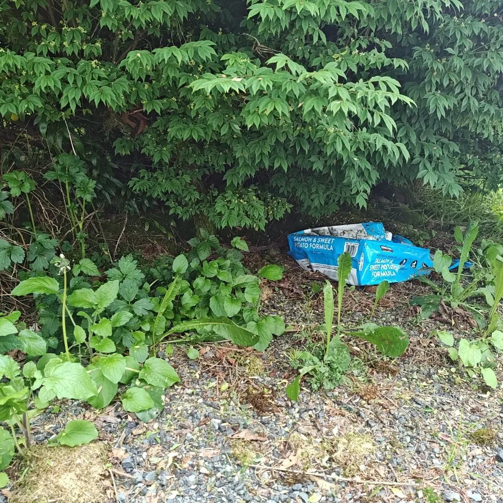 Trusted lawn mowing service experts serving Everett, WA - E&C Landscaping