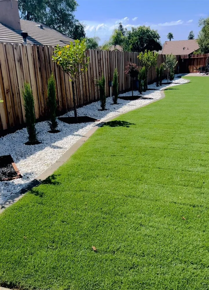 Expert yard maintenance in Fresno, CA by E.C Landscaping
