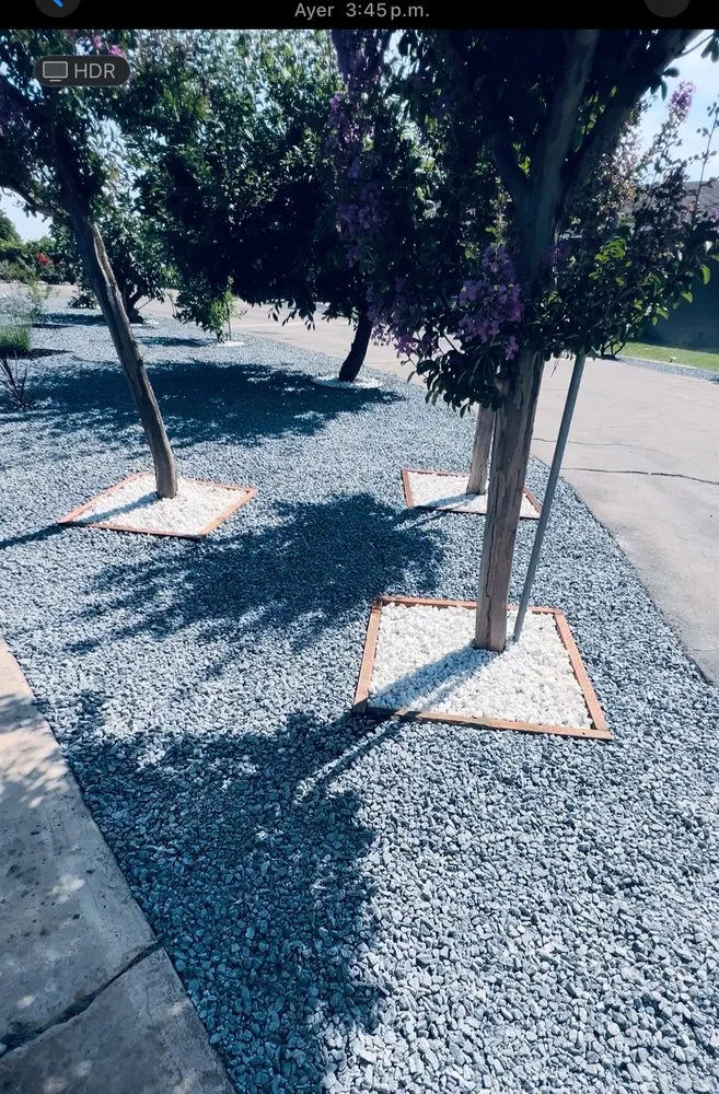 Local residential landscaping experts serving Fresno, CA - E.C Landscaping