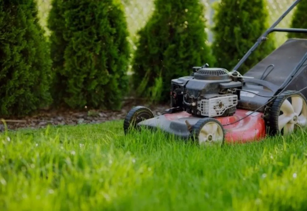 Reliable lawn care service in Little Elm, TX by EC Landscaping