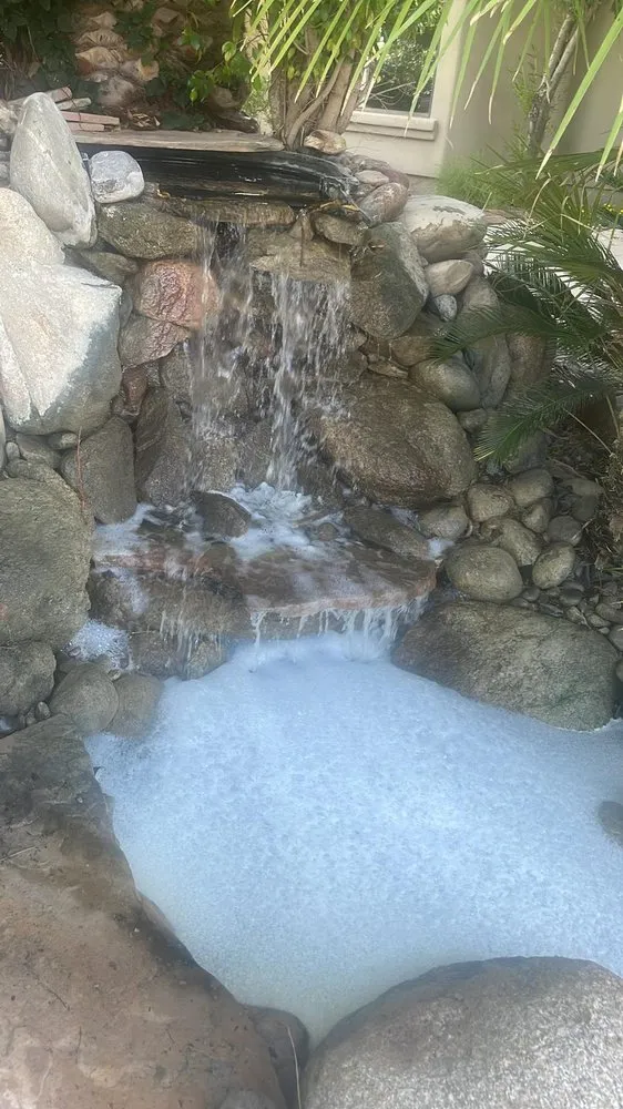 Trusted yard cleanup service for residential properties in Phoenix, AZ by EC Landscaping Service