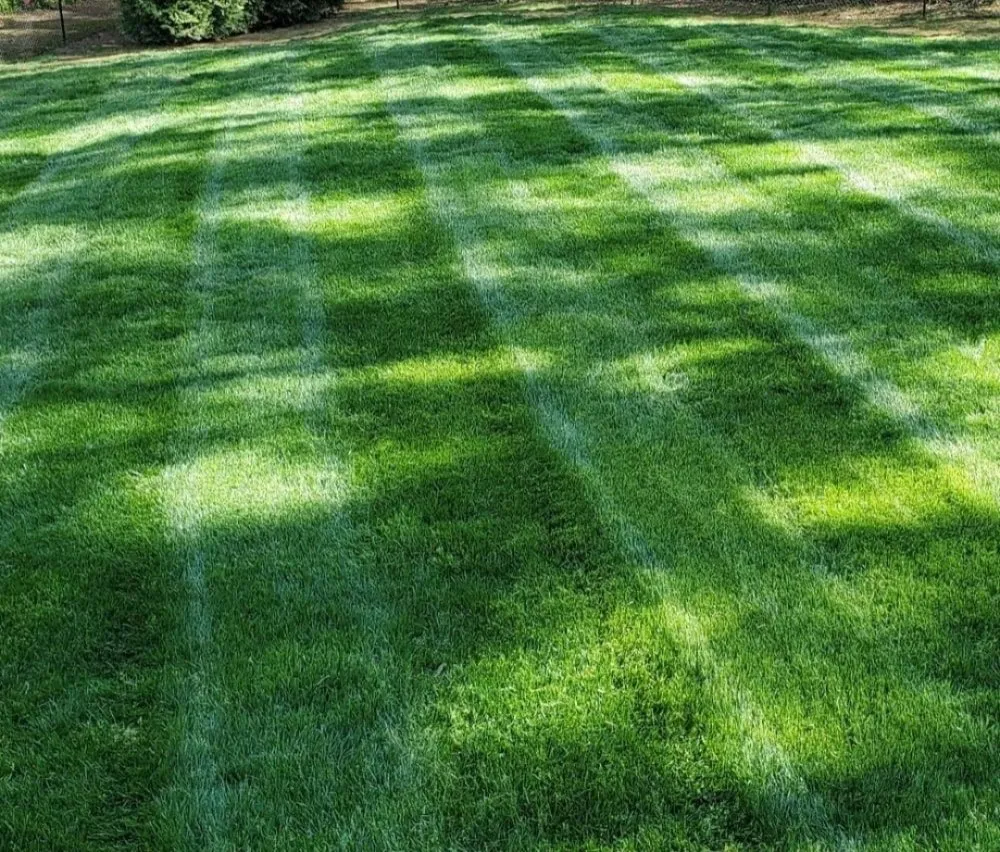 Expert landscape installation in Cohasset, MN - EC Lawn Care
