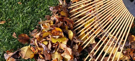 Affordable lawn care service in Hillsboro, OR by Ec Lawn Care