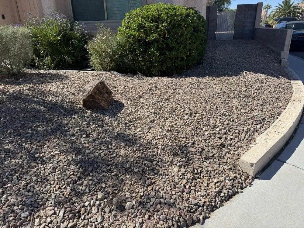 Professional garden landscaping experts serving Las Vegas, NV - E&C Lawn Management