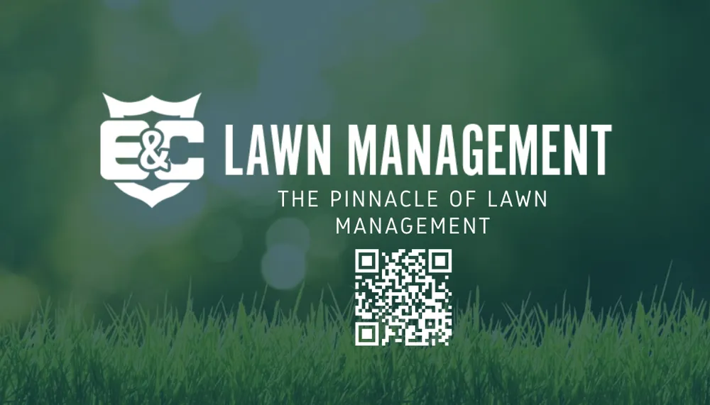 Reliable landscape design in Las Vegas, NV by E&C Lawn Management