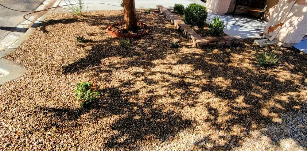 Local outdoor landscaping in Las Vegas, NV by E&C Lawn Management