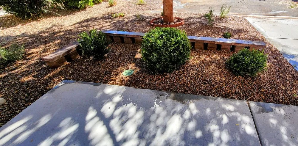 Reliable yard cleanup service in Las Vegas, NV by E&C Lawn Management
