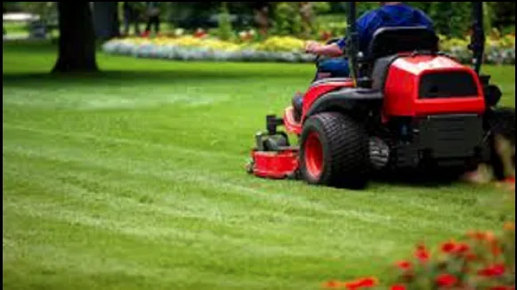 Trusted landscaping services with custom design in Fuquay Varina, NC by EC Lawn Service