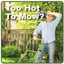 Custom yard cleanup service in Fuquay Varina, NC by EC Lawn Service