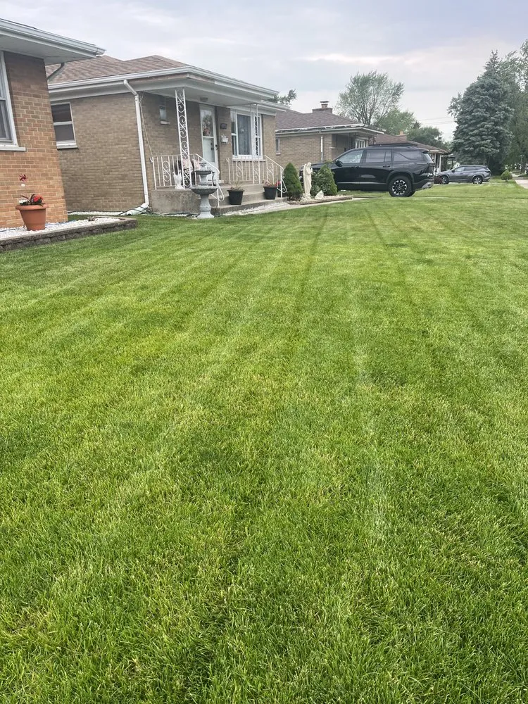 Top-rated landscaping services for year-round maintenance in Hammond, IN by EC Lawncare