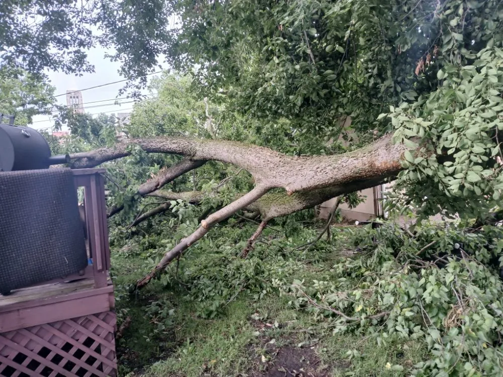 Expert landscape installation for residential properties in Joliet, IL by EC Mowing
