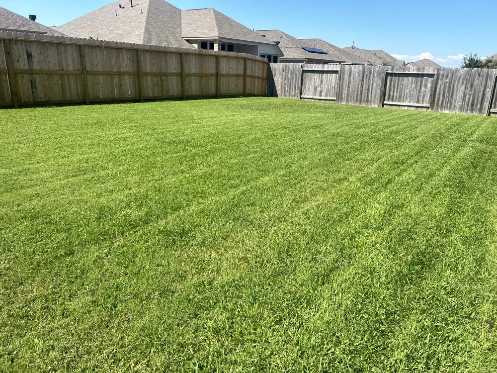 Top-rated landscape installation for year-round maintenance in Texas City, TX by E&C Services