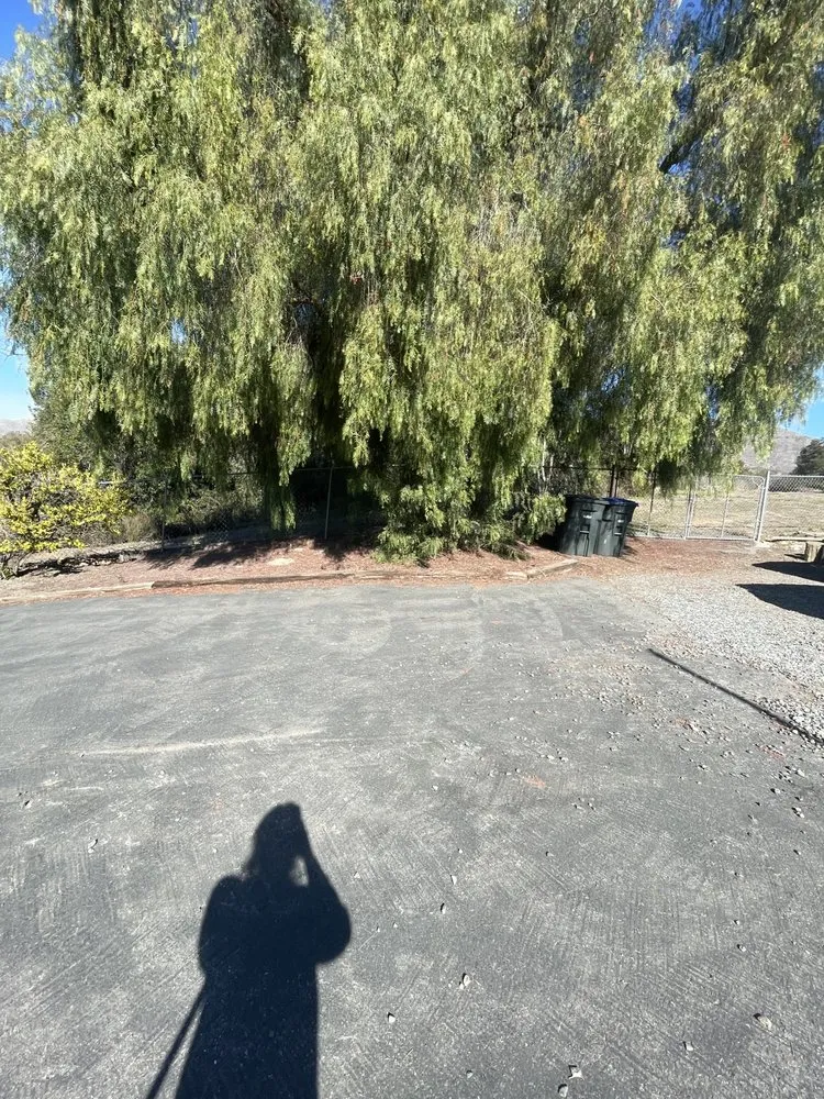 Professional yard cleanup service in Wildomar, CA by EC. Services