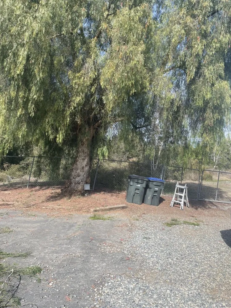 Expert landscape installation in Wildomar, CA by EC. Services