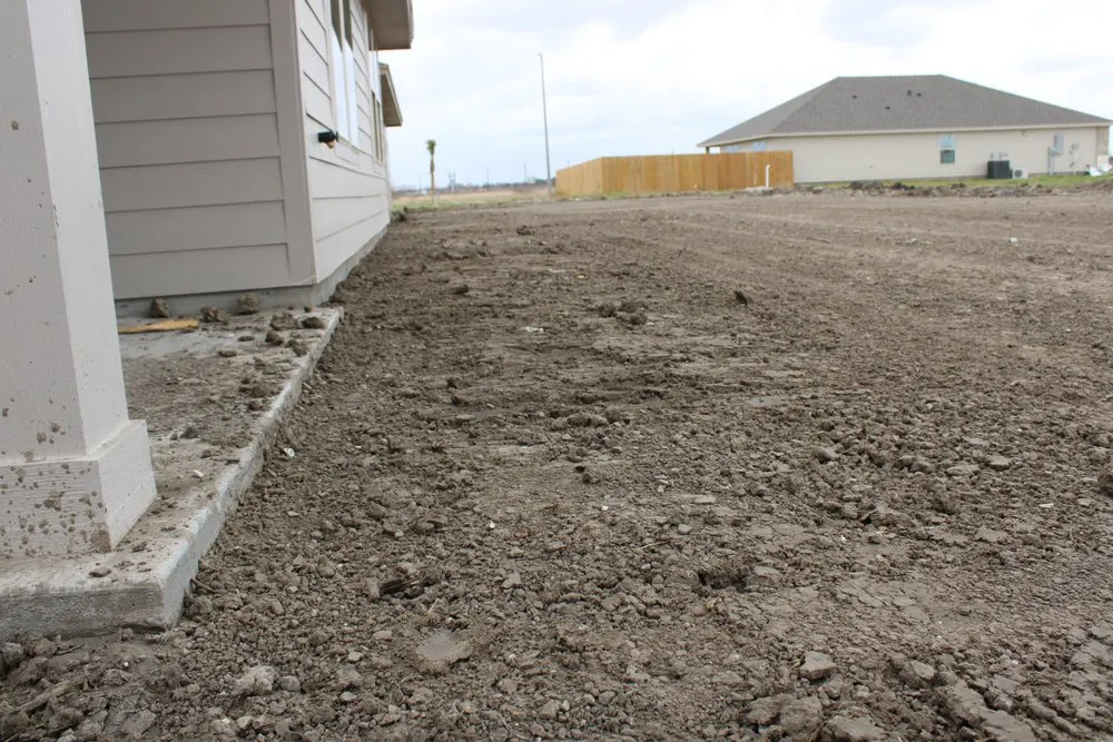 Professional outdoor landscaping for year-round maintenance in Corpus Christi, TX by EC Sod