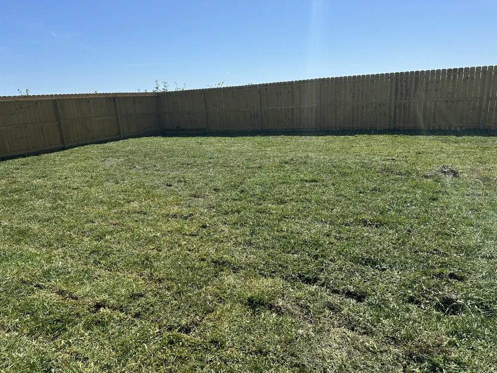 Expert yard maintenance for beautiful yards across Corpus Christi, TX - EC Sod
