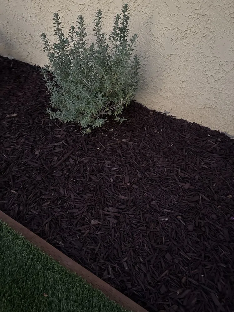 Reliable yard maintenance near you across Thousand Oaks, CA - EC Turf & Pavers and Landscaping