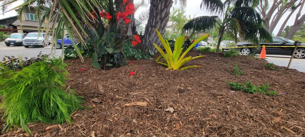 Local lawn mowing service for year-round maintenance across Oceanside, CA - Eccentric Landscape Designs