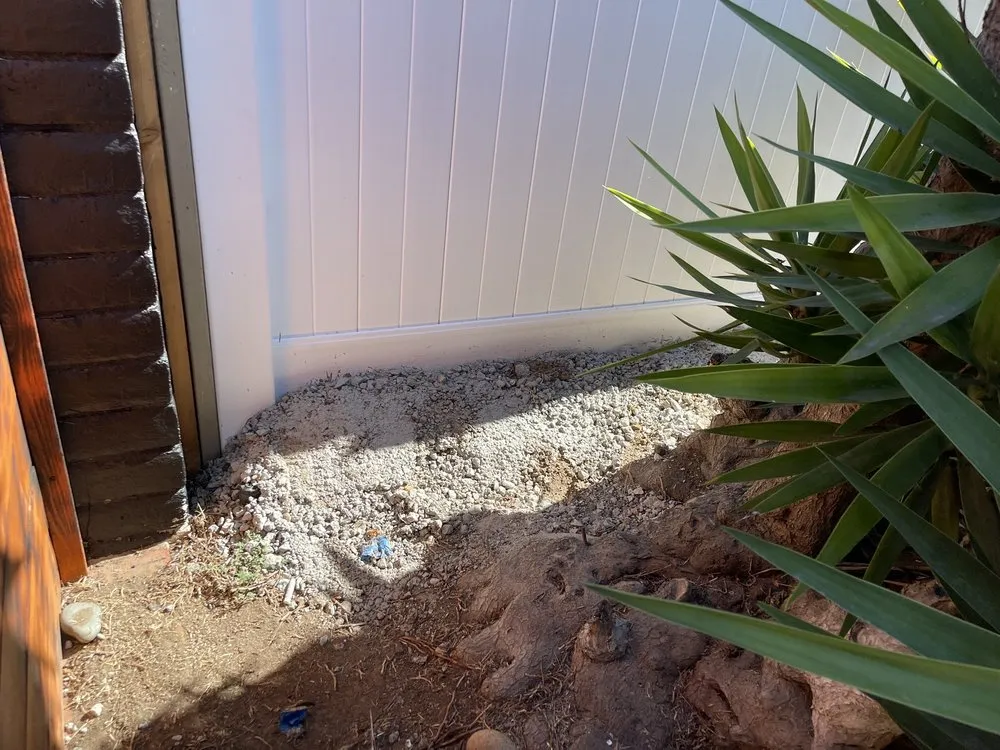 Reliable yard cleanup service near you in Oceanside, CA by Eccentric Landscape Designs