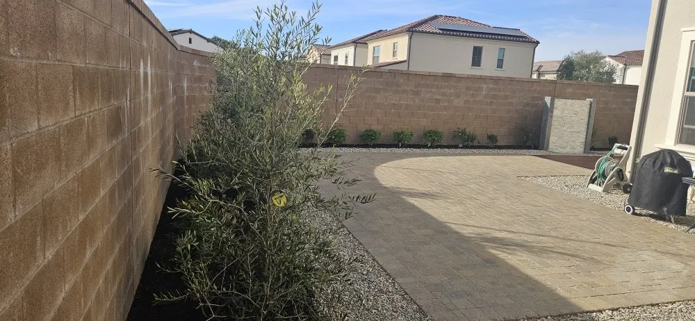 Expert yard cleanup service in Irvine, CA by Echo Family Landscaping
