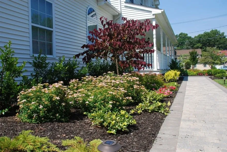 Trusted yard cleanup service in Mount Sinai, NY - Echo Landscaping