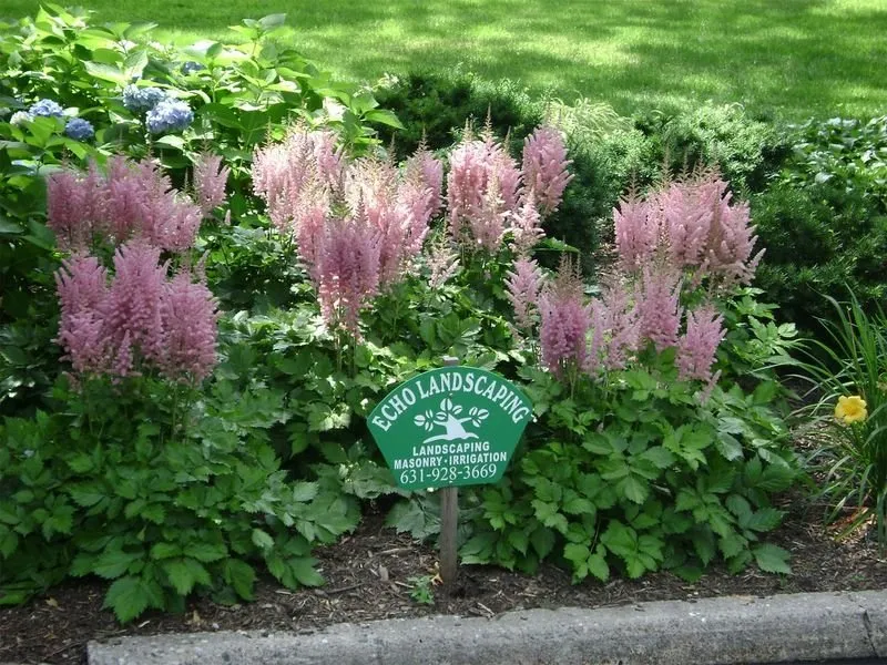 Reliable lawn care service in Mount Sinai, NY by Echo Landscaping