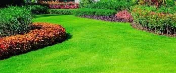 Echo Landscaping