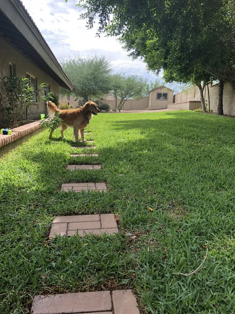 Reliable lawn mowing service experts serving Phoenix, AZ - Echo Mountain Landscaping