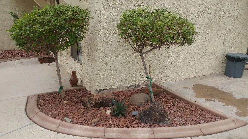 Local lawn care service for residential properties across Phoenix, AZ - Echo Mountain Landscaping