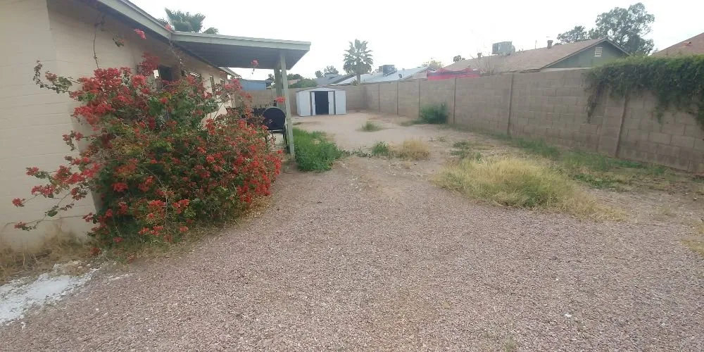 Reliable landscape installation for outdoor upgrades in Phoenix, AZ by Echo Mountain Landscaping